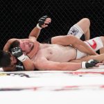 Pertarungan Bebas Di Dalam Dunia Olahraga Bela Diri