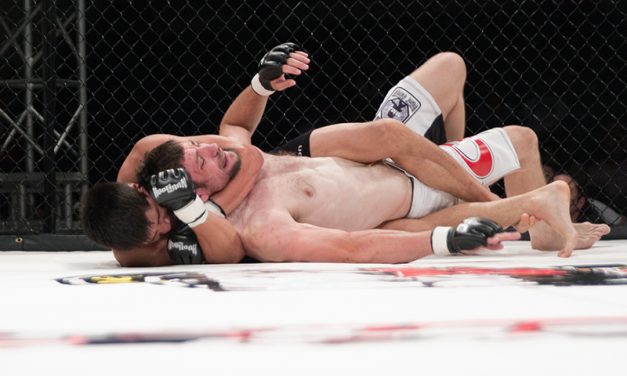 Pertarungan Bebas Di Dalam Dunia Olahraga Bela Diri