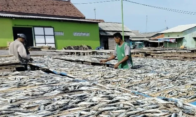Pengasinan Ikan Untuk Masa Simpan Yang Lebih Lama