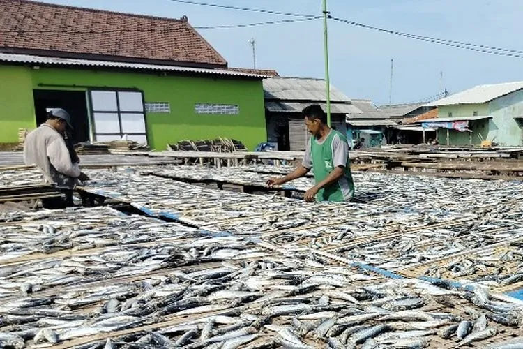 Pengasinan Ikan Untuk Masa Simpan Yang Lebih Lama