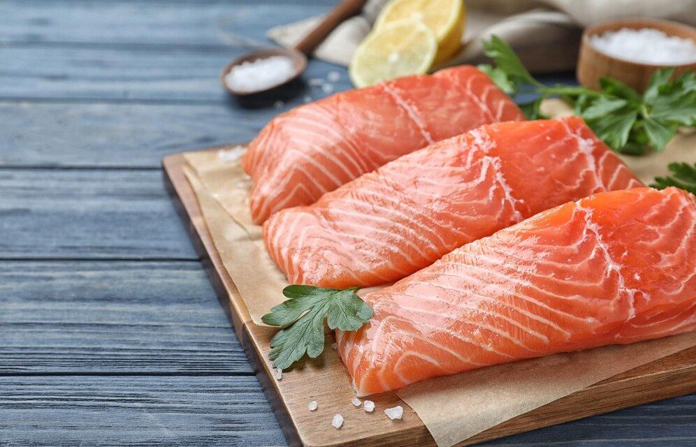 Hewan Laut Ikan Salmon Dengan Tinggi Protein