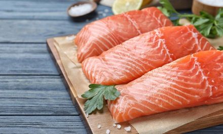 Hewan Laut Ikan Salmon Dengan Tinggi Protein