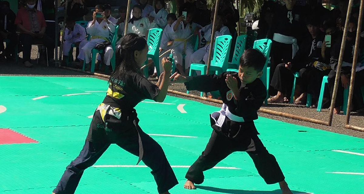 Ilmu Pertahanan Silat Olahraga Dari Indonesia