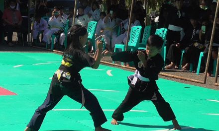 Ilmu Pertahanan Silat Olahraga Dari Indonesia
