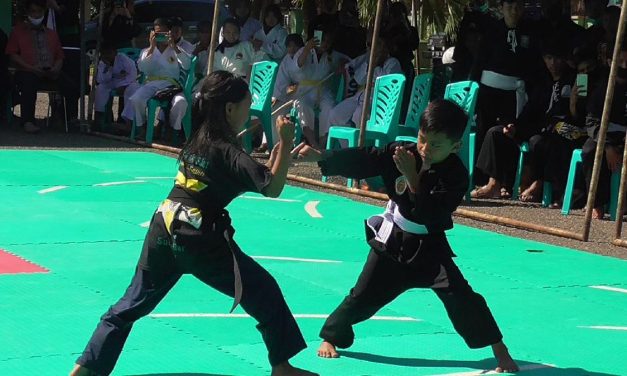 Ilmu Pertahanan Silat Olahraga Dari Indonesia