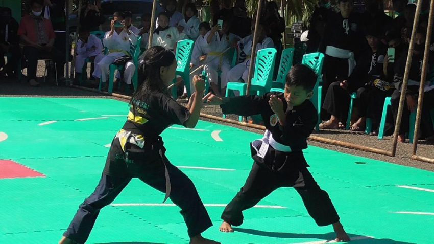 Ilmu Pertahanan Silat Olahraga Dari Indonesia