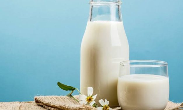 Cairan Bergizi Susu Sebagai Bahan Alami Di Konsumsi