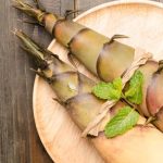 Tumbuhan Unik Bambu Muda Yang Banyak Di Olah