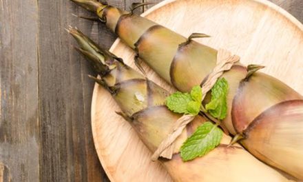 Tumbuhan Unik Bambu Muda Yang Banyak Di Olah