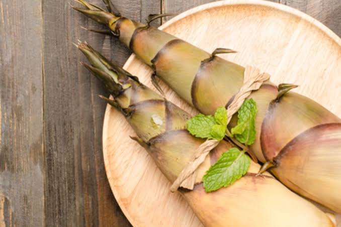 Tumbuhan Unik Bambu Muda Yang Banyak Di Olah