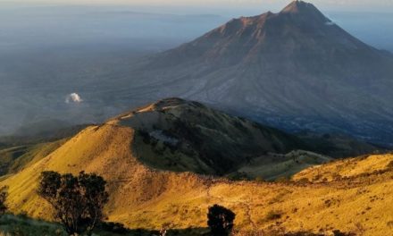 Pendakian Muncak Pada Sebuah Bukit Maupun Gunung