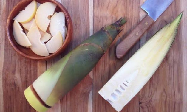 Makanan Berbahan Rebung Sebuah Tunas Muda Bambu