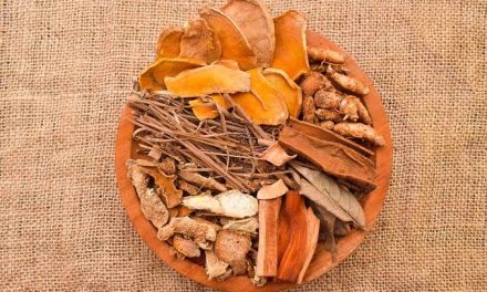 Cairan Berkhasiat Jamu Sebagai Minuman Herbak Rempah
