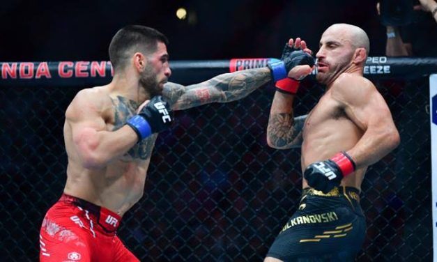 Sebuah Trend UFC Dalam Pertarungan Bebas