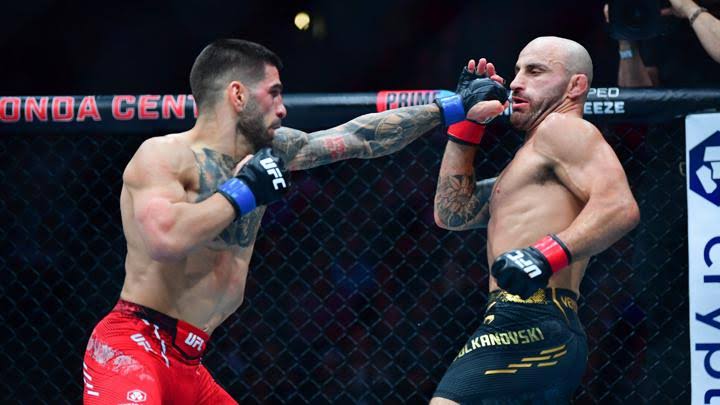 Sebuah Trend UFC Dalam Pertarungan Bebas