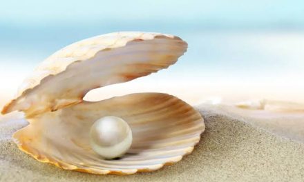 Sebuah Benda Berharga Mutiara Dengan Harga Tinggi