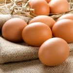 Bahan Pangan Telur Ayam Dengan Beberapa Pengolahan