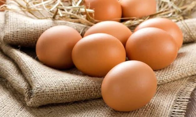 Bahan Pangan Telur Ayam Dengan Beberapa Pengolahan