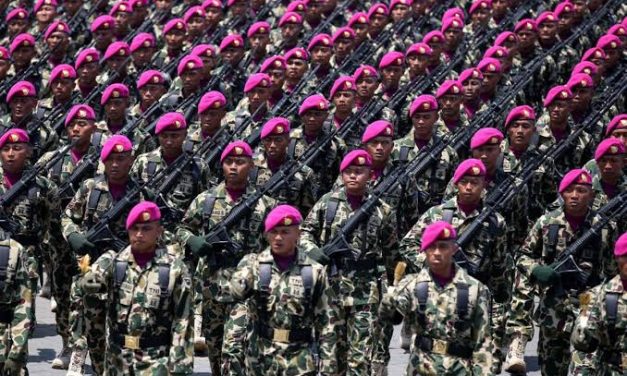 Seseorang Profesi Tentara Dengan Tugas Di Jalankan