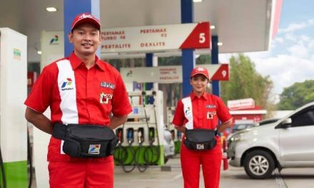 Perusahaan Milik Negara Indonesia Sebuah Pertamina